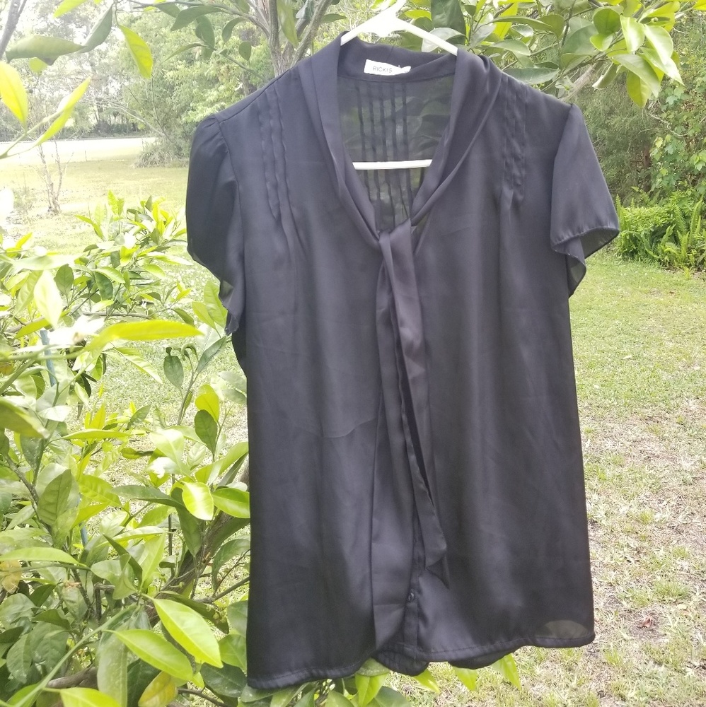 Sheer Blouse